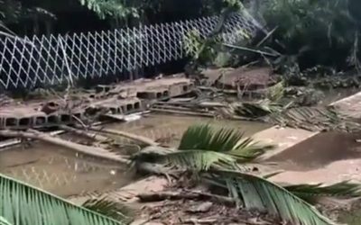 Forte chuva causa prejuízos em São Paulo