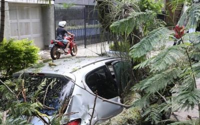 Seguros contra ventania e queda de árvores