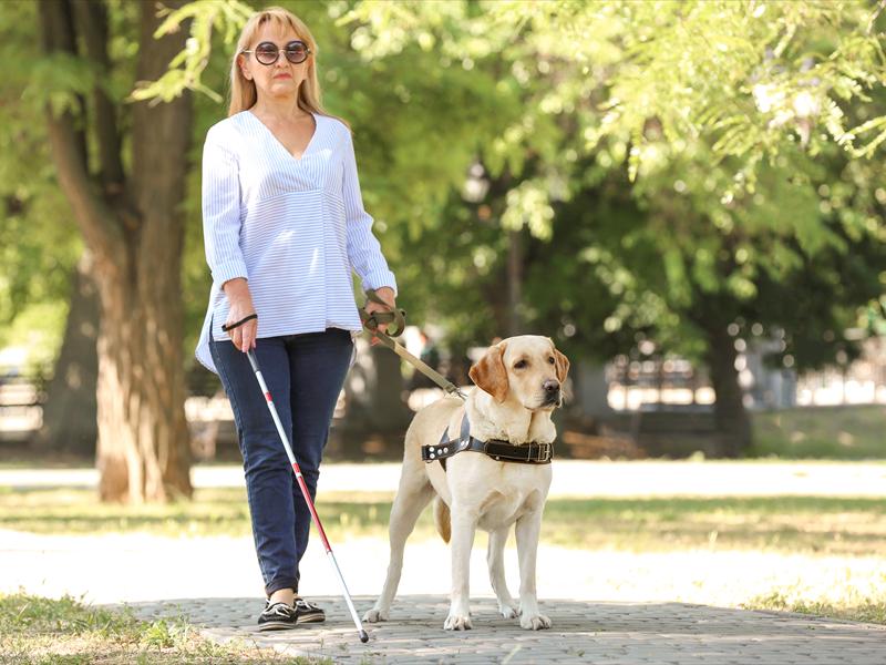 Isenções e benefícios para deficientes visuais